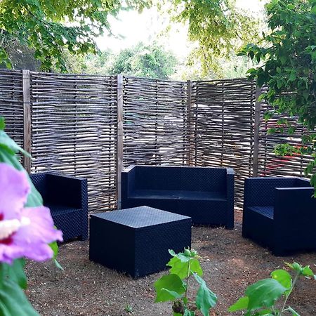 Gite Rural "Chez Paulette" - Provence - Luberon Cavaillon Ngoại thất bức ảnh